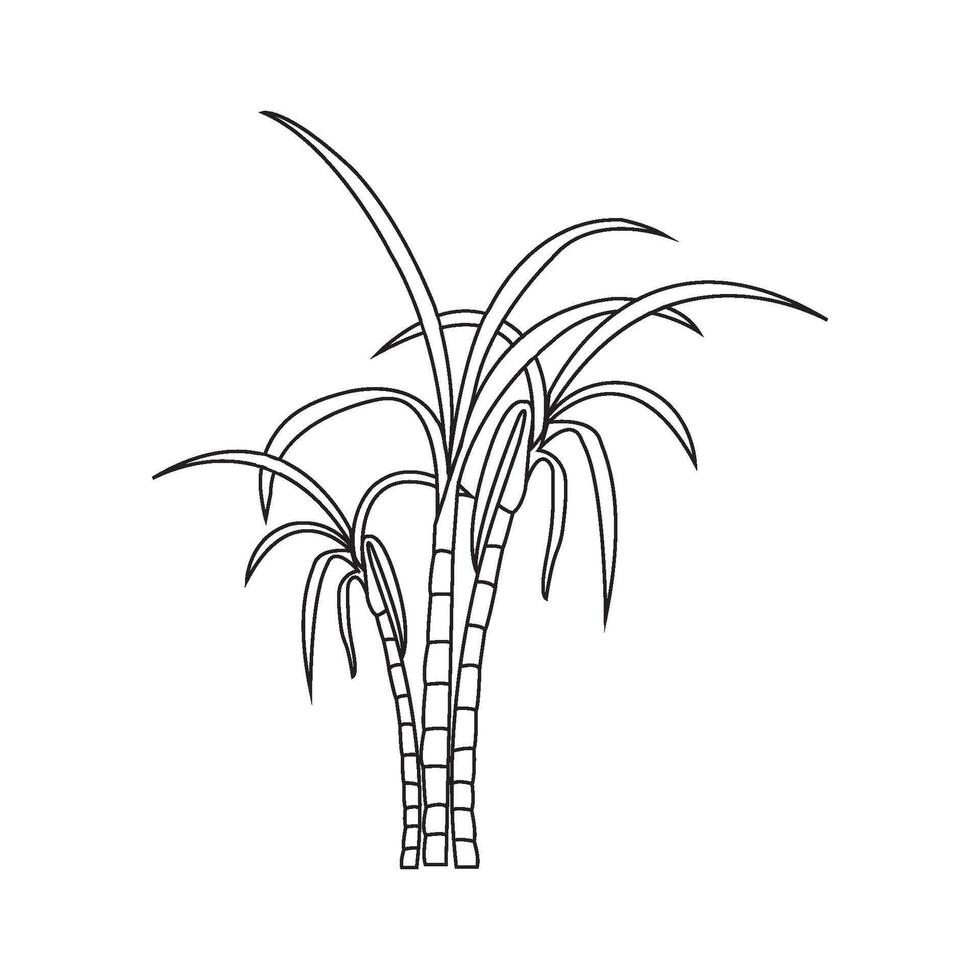 Sugar cane icon vector