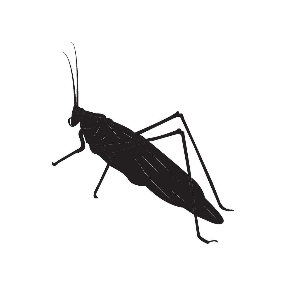 grasshopper icon design vector