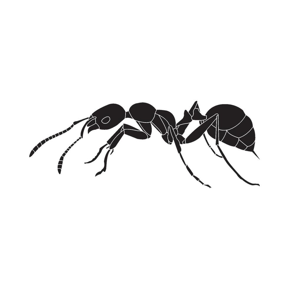 Ant icon design vector