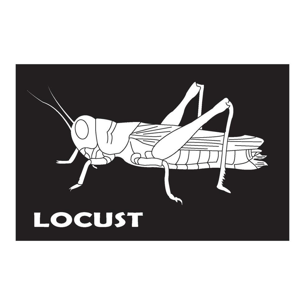 grasshopper icon design vector