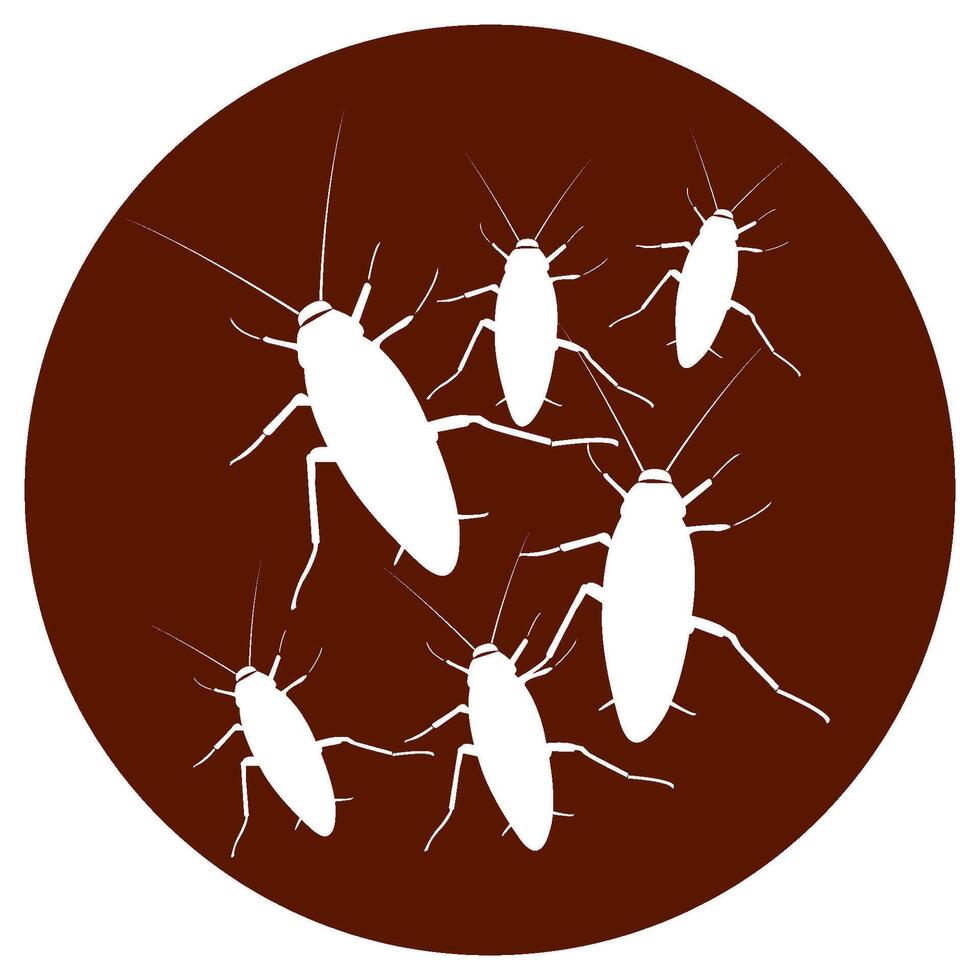 cockroach icon design vector
