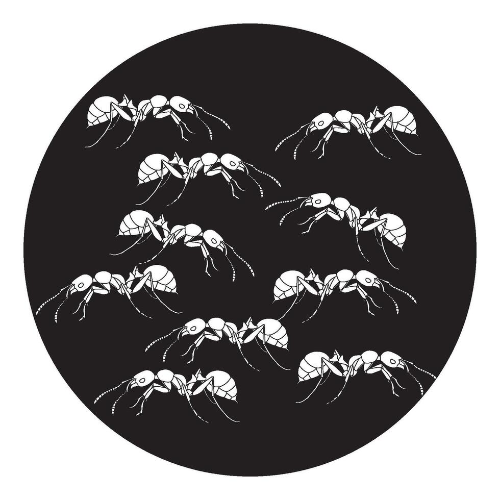 Ant icon design vector