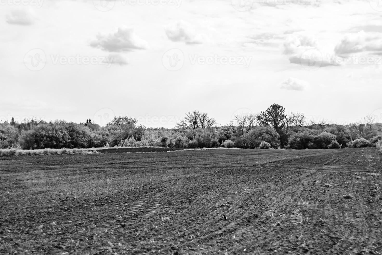 Photography on theme big empty farm field for organic harvest photo