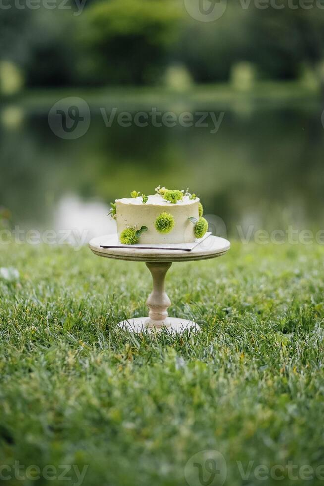 Serene Cake by the Lake photo