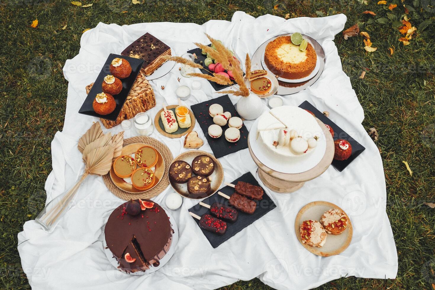 Sweet Symphony. Decadent Desserts on a Picnic Table photo