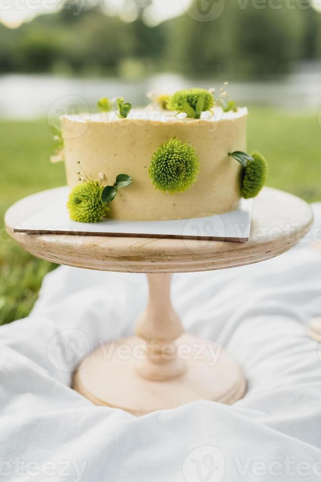 Enchanted Cake on Grassy Stand photo