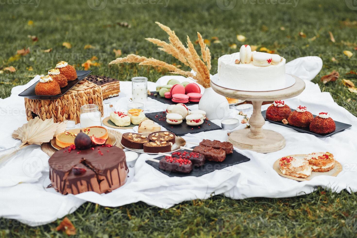 Sweet Indulgence. Array of Desserts on Picnic Blanket photo