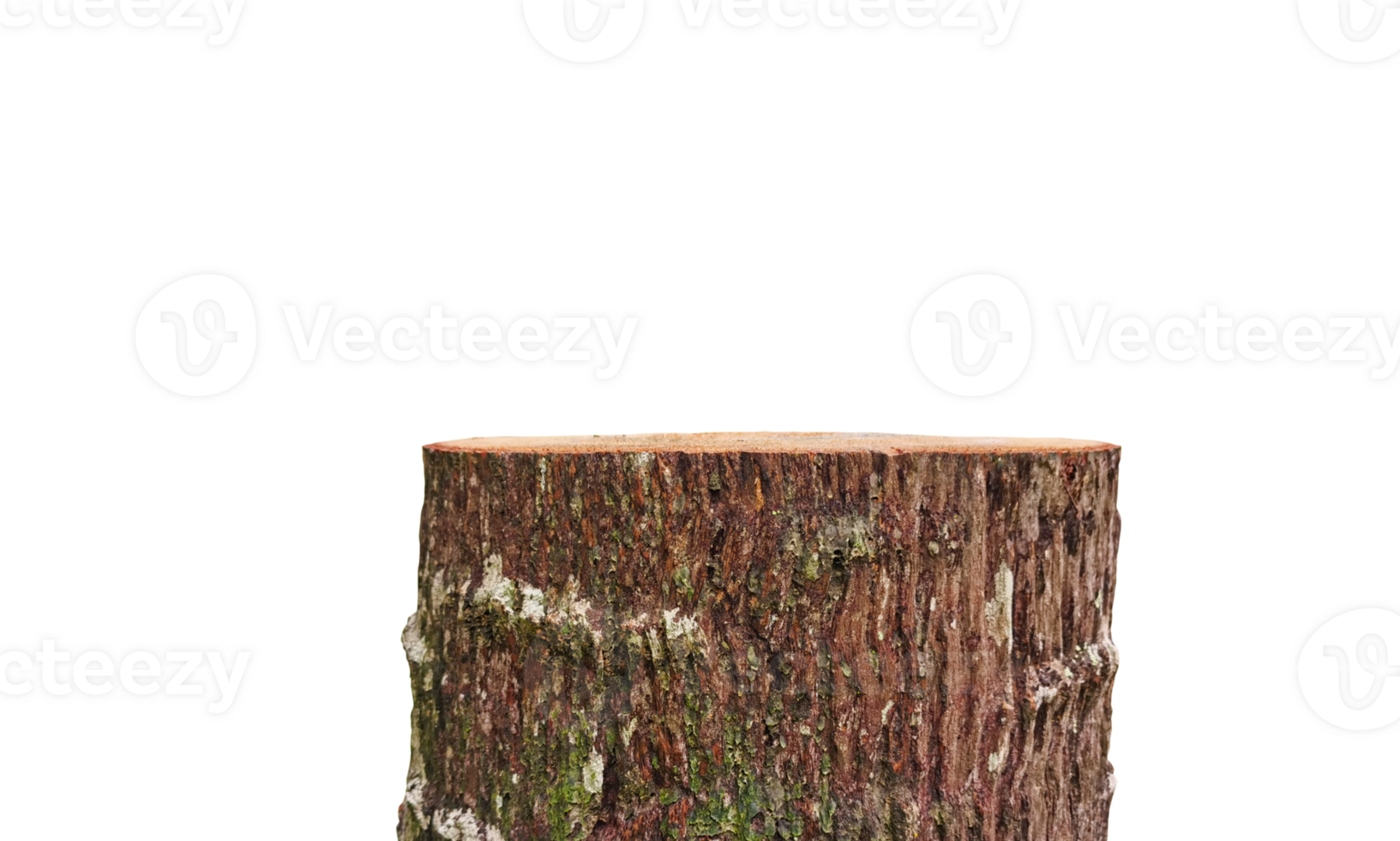 Empty old stump table to display products transparent png