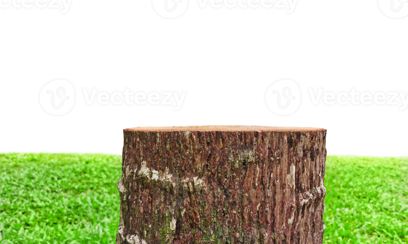 Empty old stump table with blurred garden to display products transparent png
