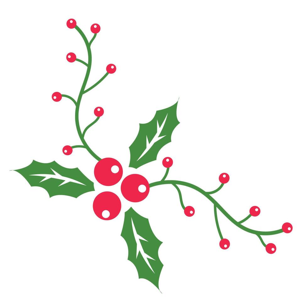Holly leaf for Christmas decoration vector