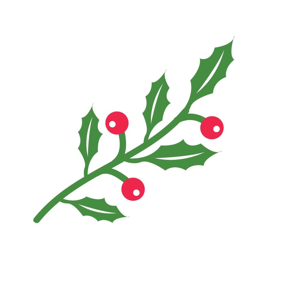 Holly leaf for Christmas decoration vector