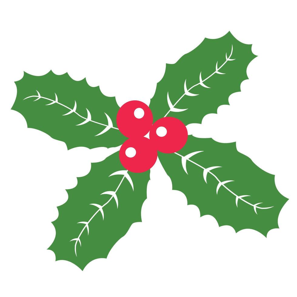 Holly leaf for Christmas decoration vector
