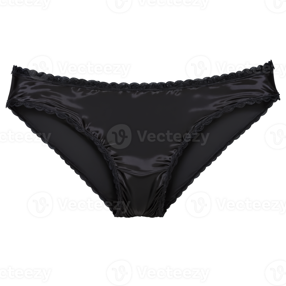 Black Silk Briefs A pair of black silk briefs with a smooth and shiny texture png