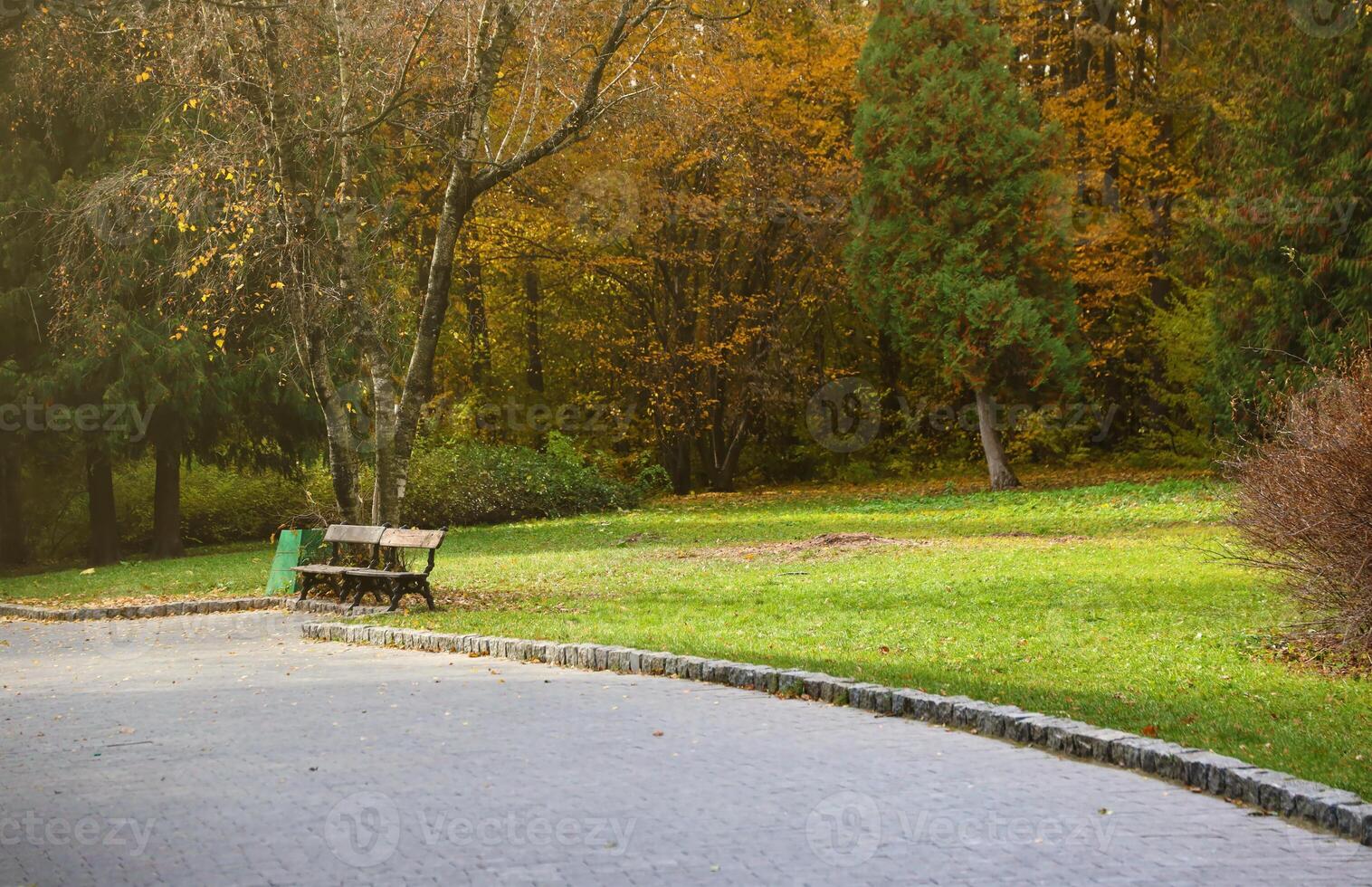 Beautiful Nature Autumn landscape. Scenery view on autumn city park with golden yellow foliage in cloudy day photo
