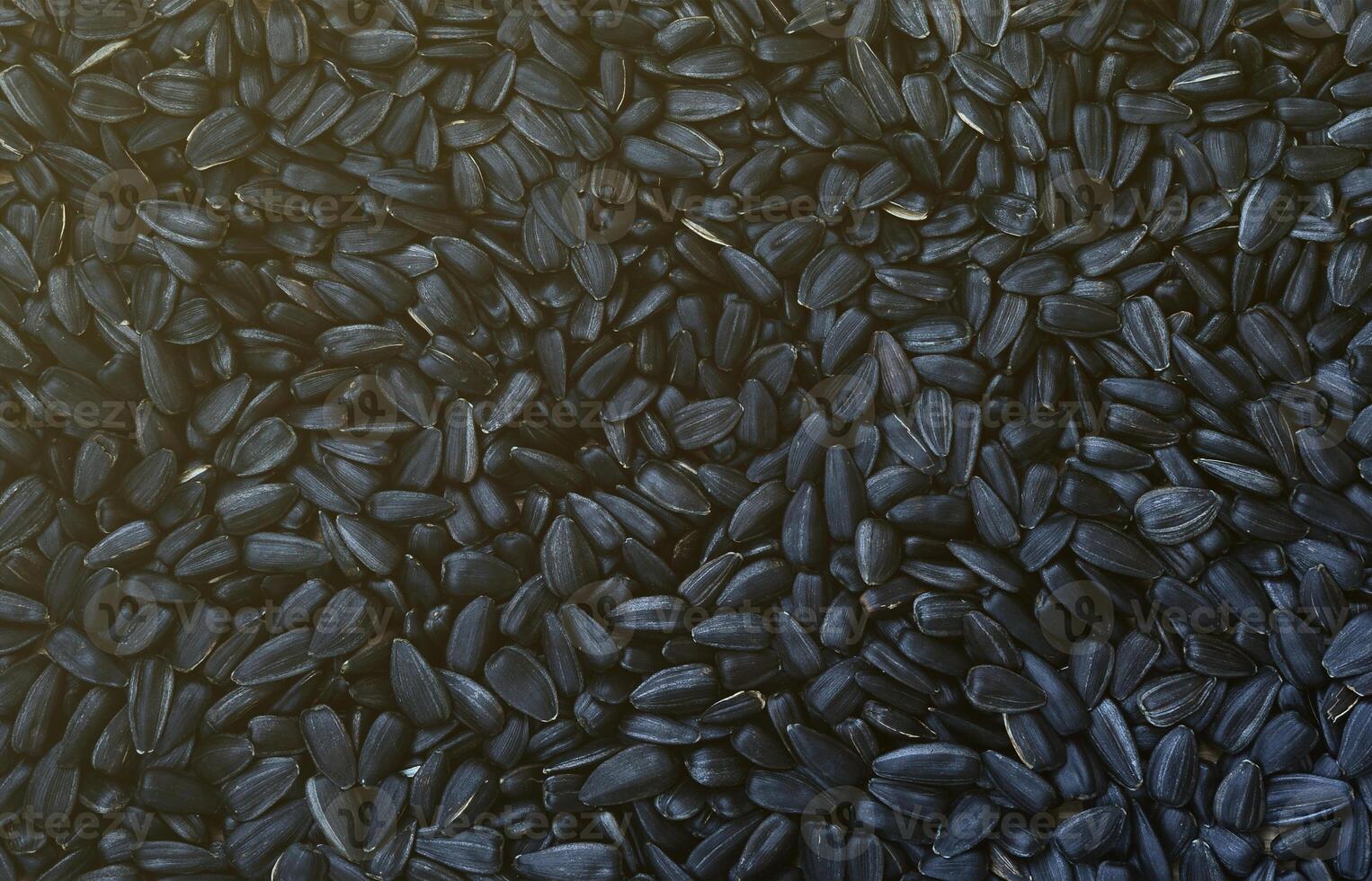 A pattern of many unprocessed fried sunflower seeds in a black shell. photo