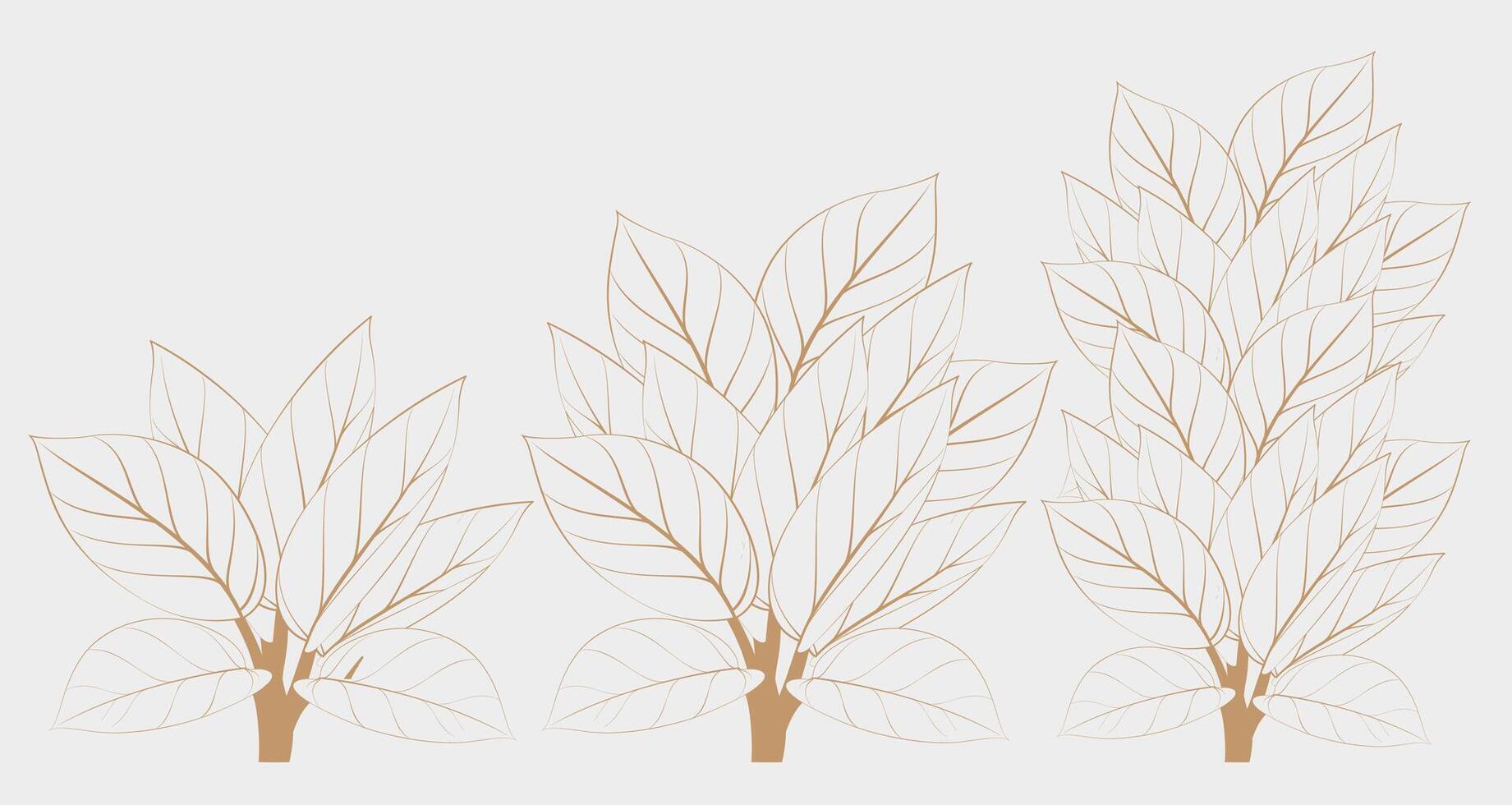 philodendron birkin varigata vector