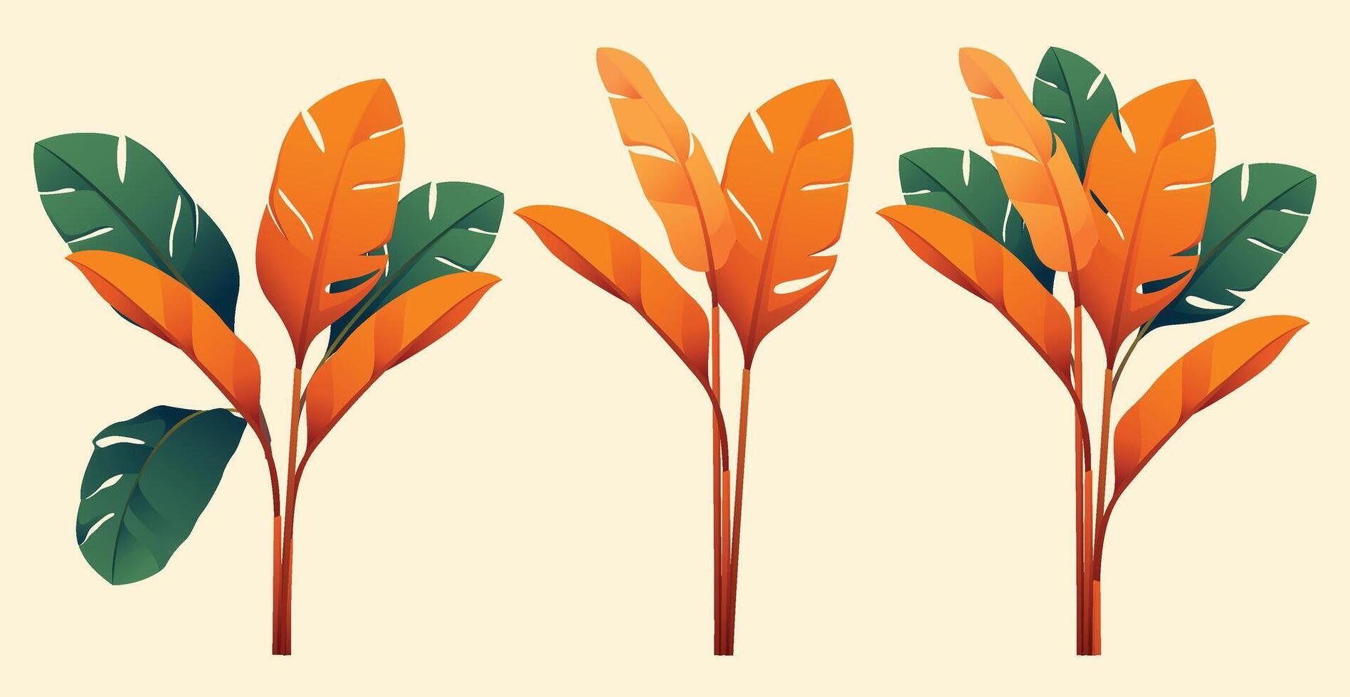 Tropical Heliconia Flower assets botanical background color design vector