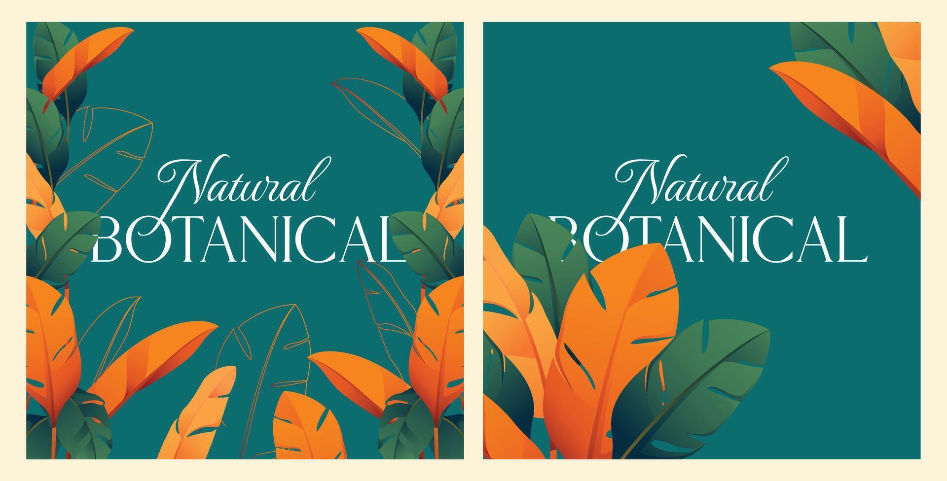 Tropical Heliconia Flower frame botanical background color design vector