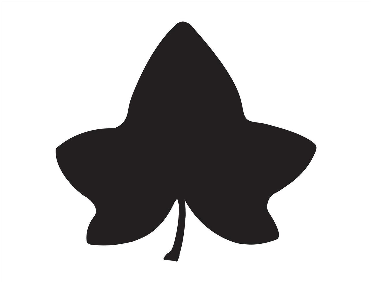 Ivy leaf silhouette on white background vector