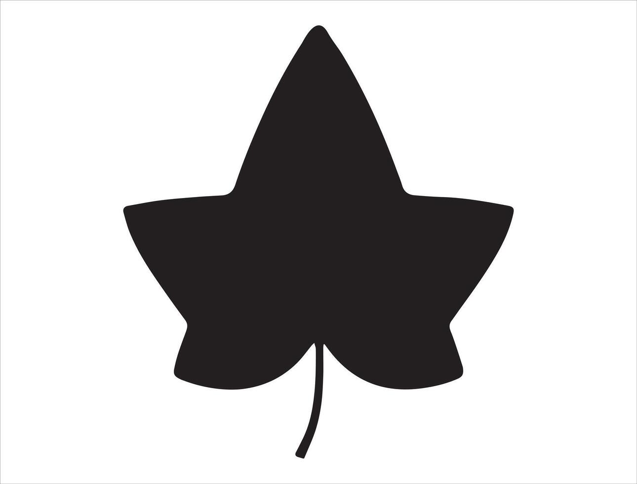 Ivy leaf silhouette on white background vector