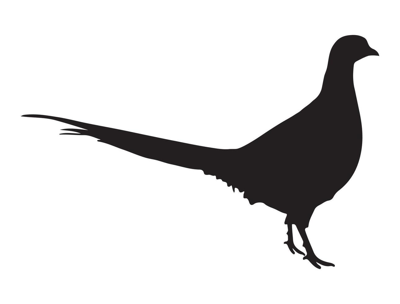 Pheasant silhouette on white background vector