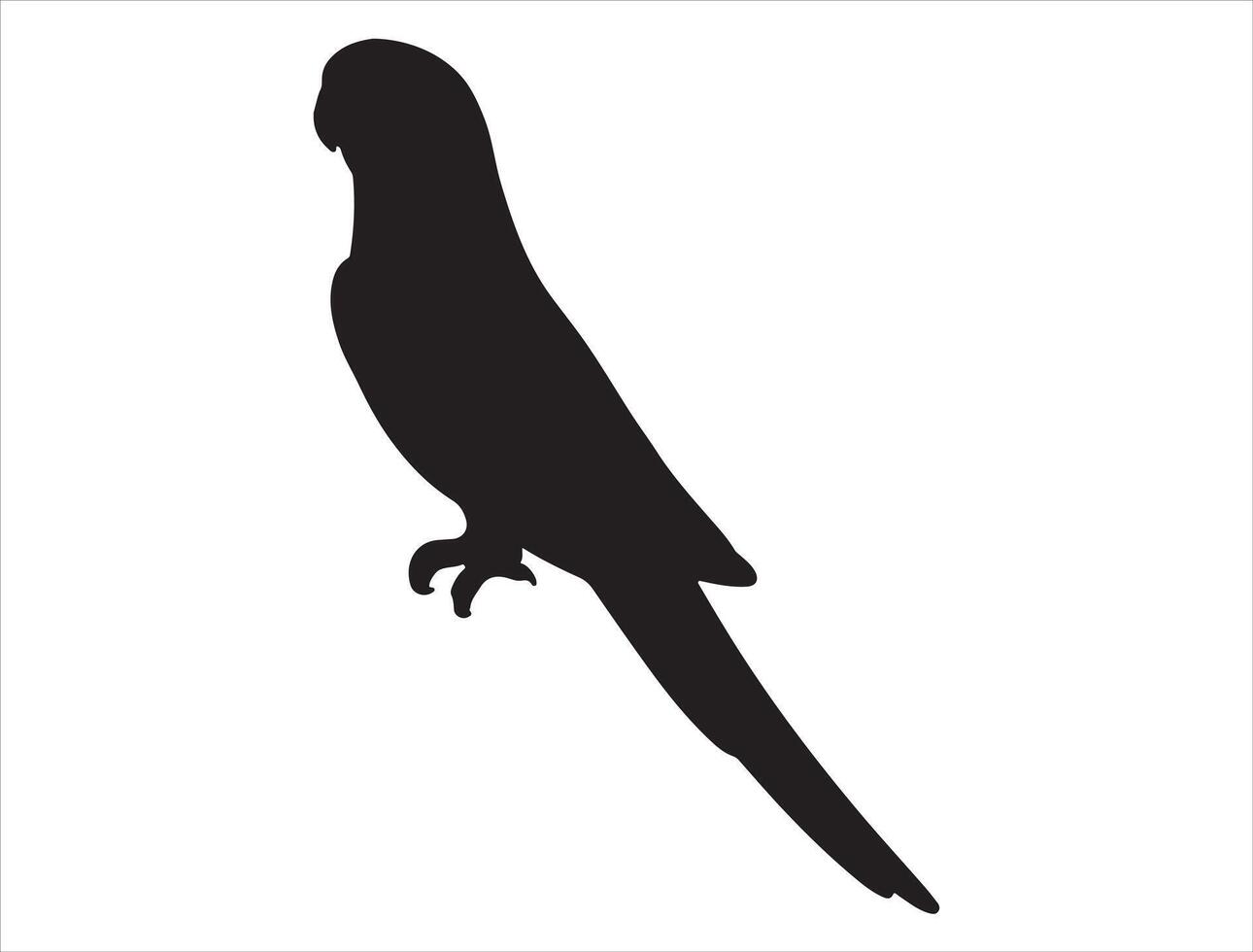 Parrot silhouette on white background vector