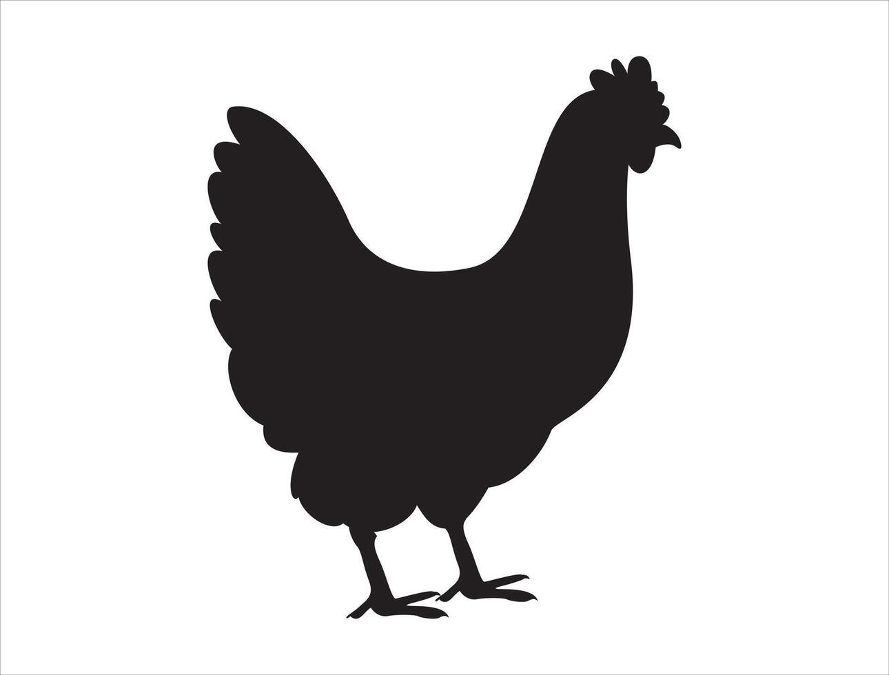 Hen silhouette on white background vector