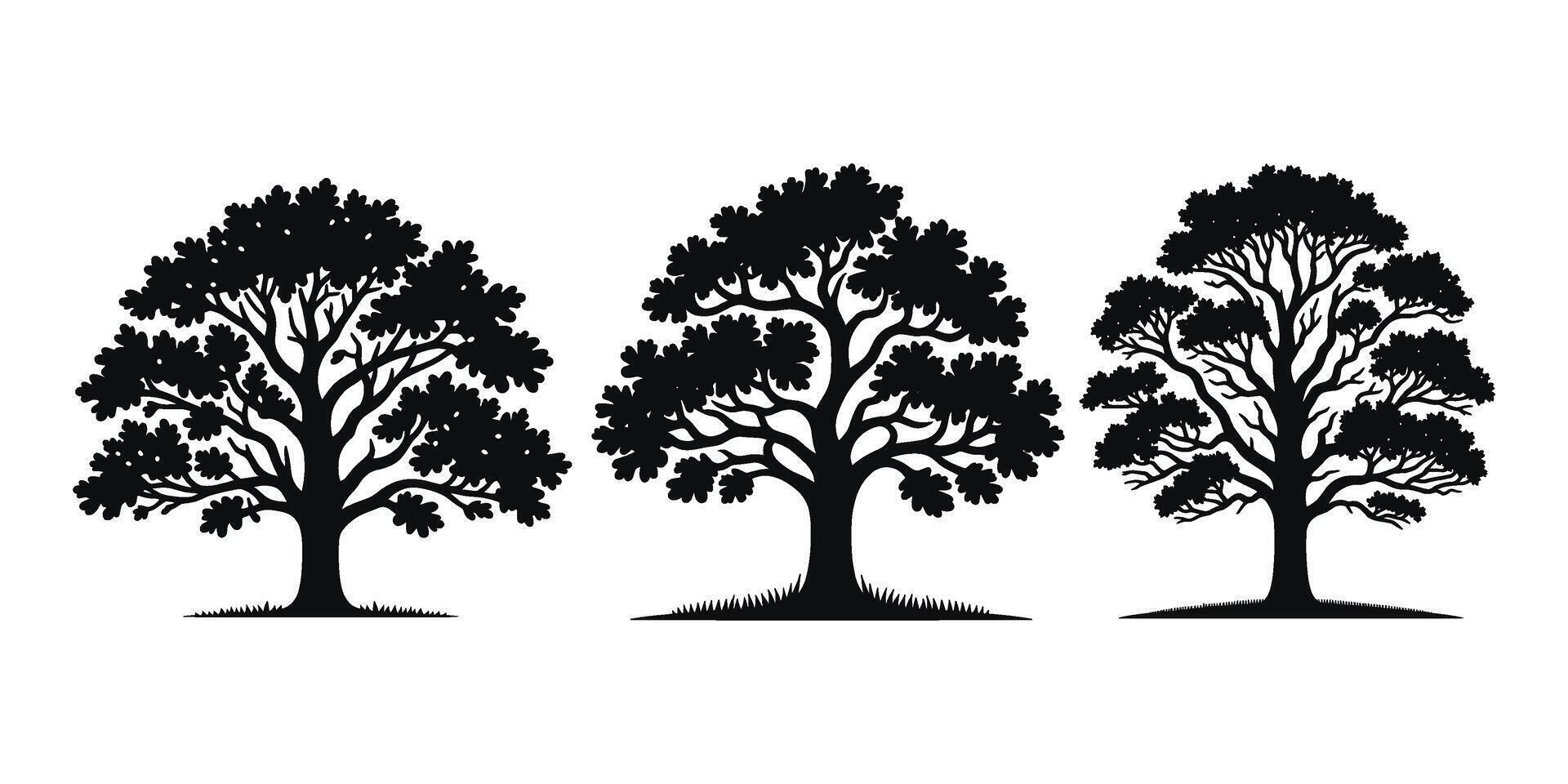 Set of Tree silhouettes illustration Isolated on White Background vector