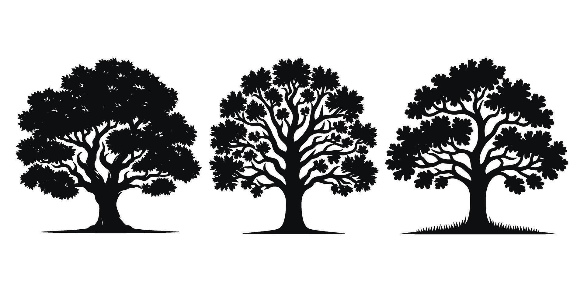 Set of Tree silhouettes illustration Isolated on White Background vector