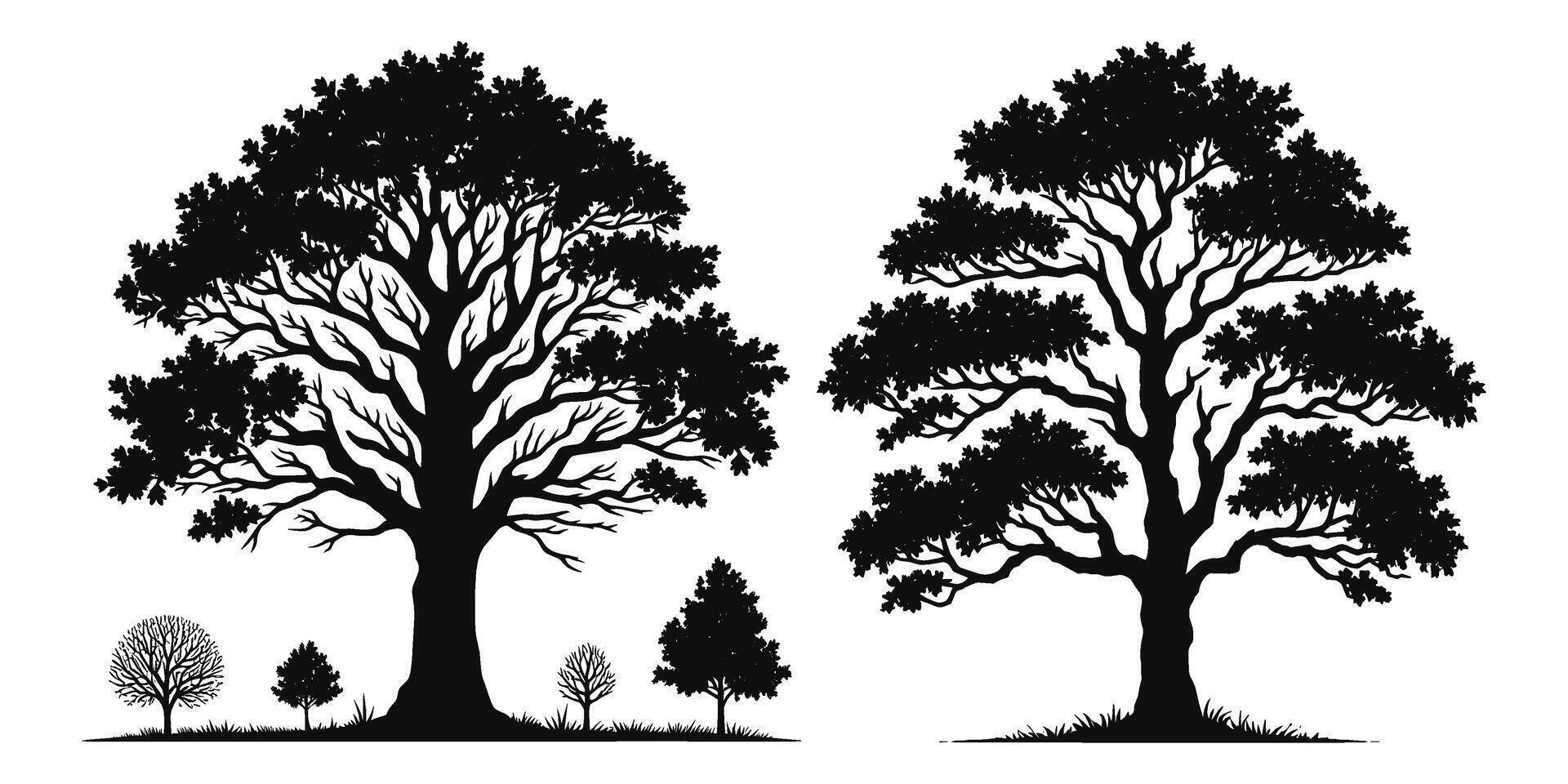 Set of Tree silhouettes illustration Isolated on White Background vector