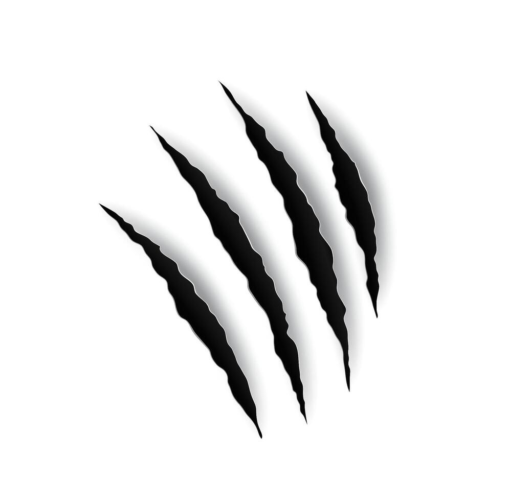 Beast claw marl scratches, tiger animal paw nails vector