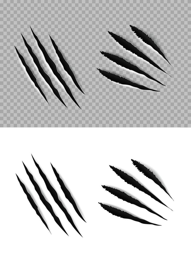 Claw marks and scratches of animal paws and talons vector