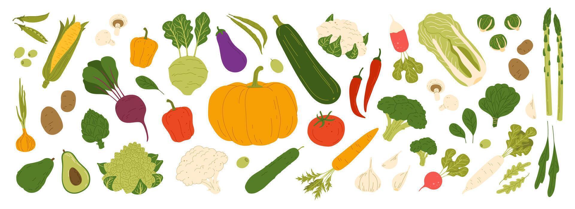 Isolated raw vegetables, vegetarian food veggies vector