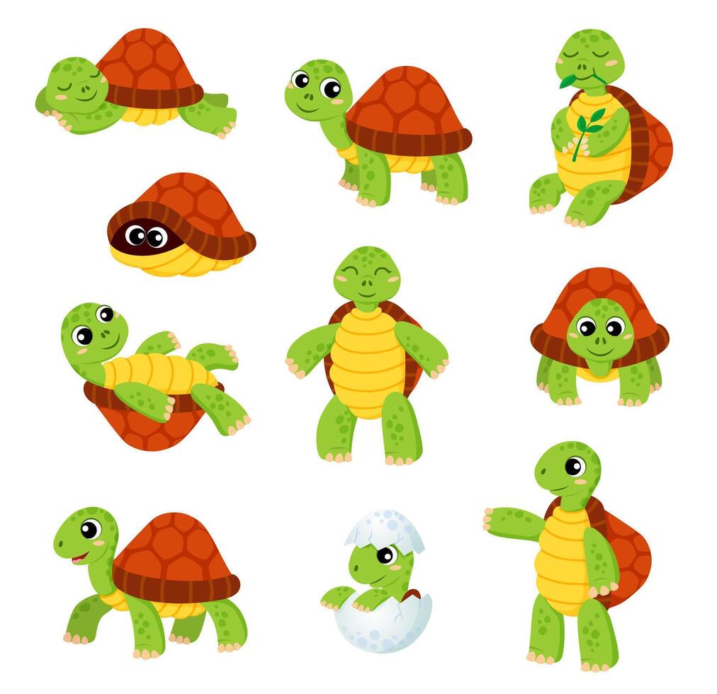Cartoon turtle, cute tortoise animal character vector