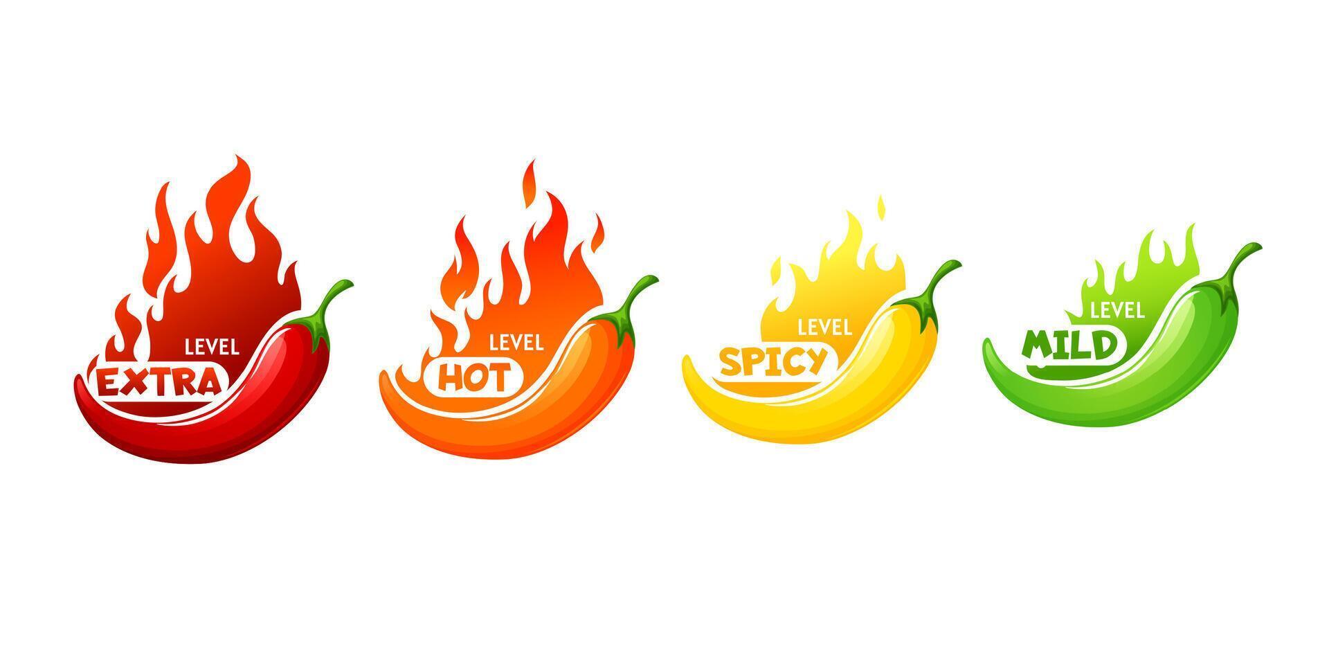 Hot spicy level of chili, cayenne, jalapeno pepper vector
