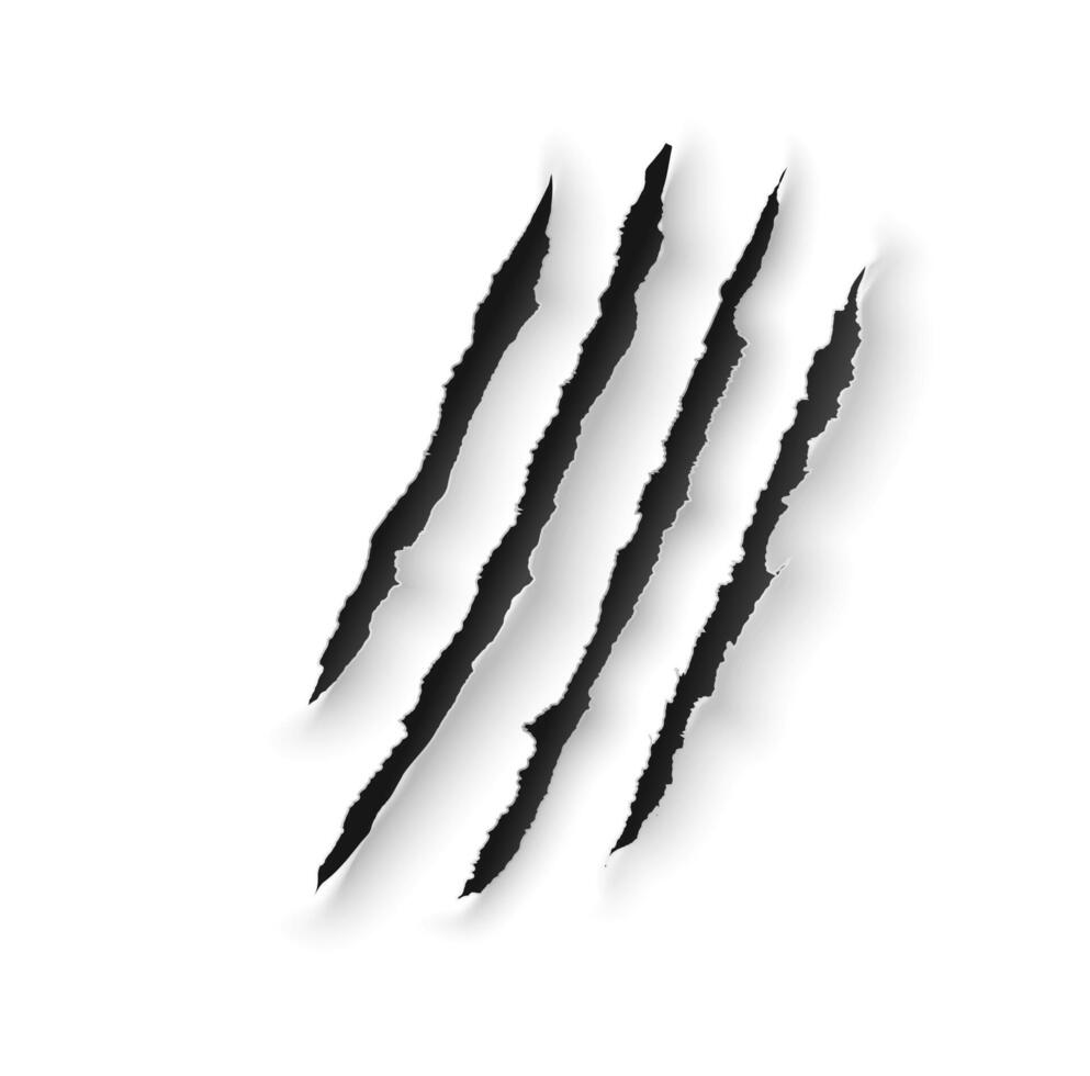 Animal claw marks scratches of wild bear and tiger vector