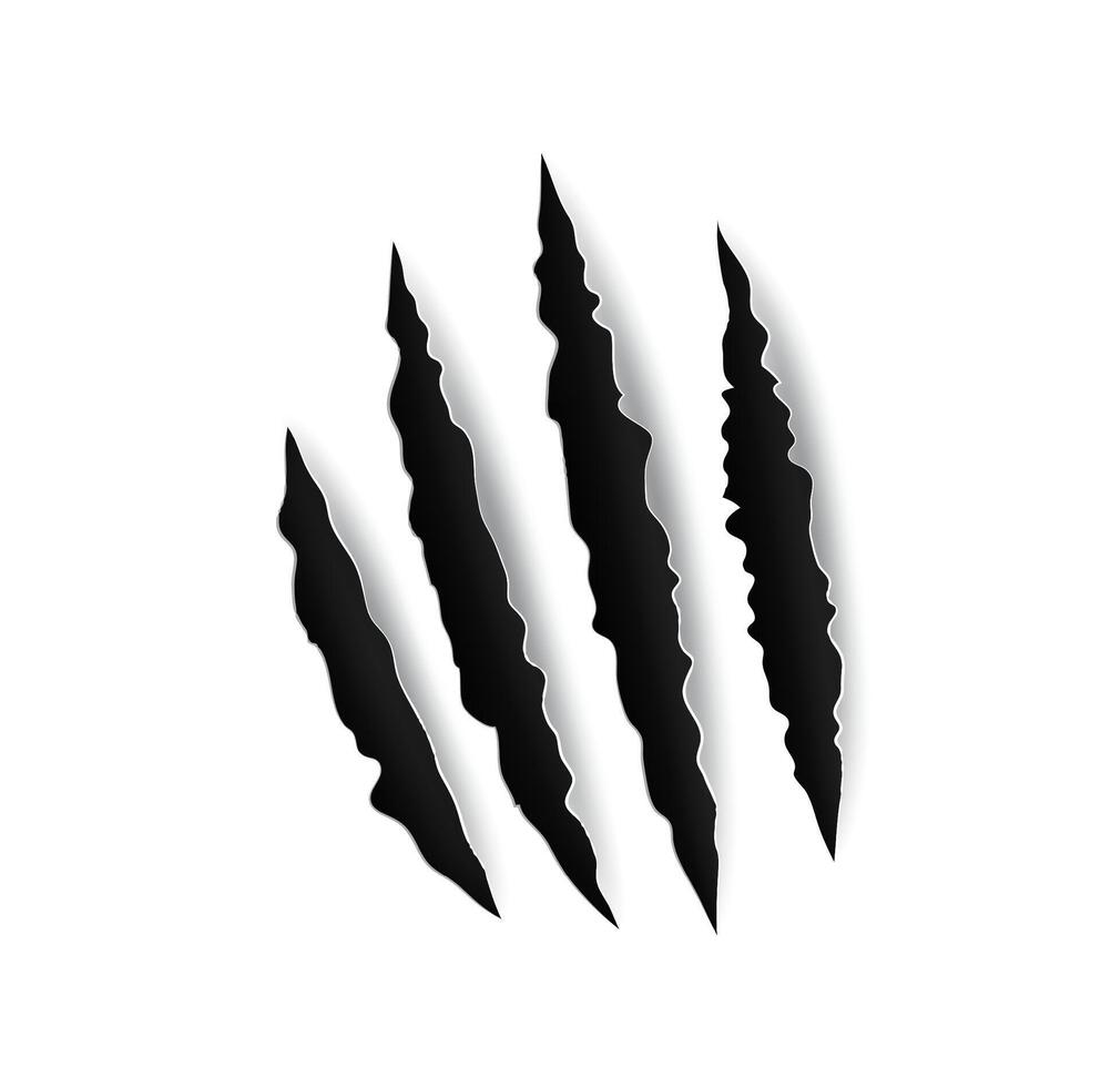 Grizzly bear claw marks and scratches, torn cracks vector