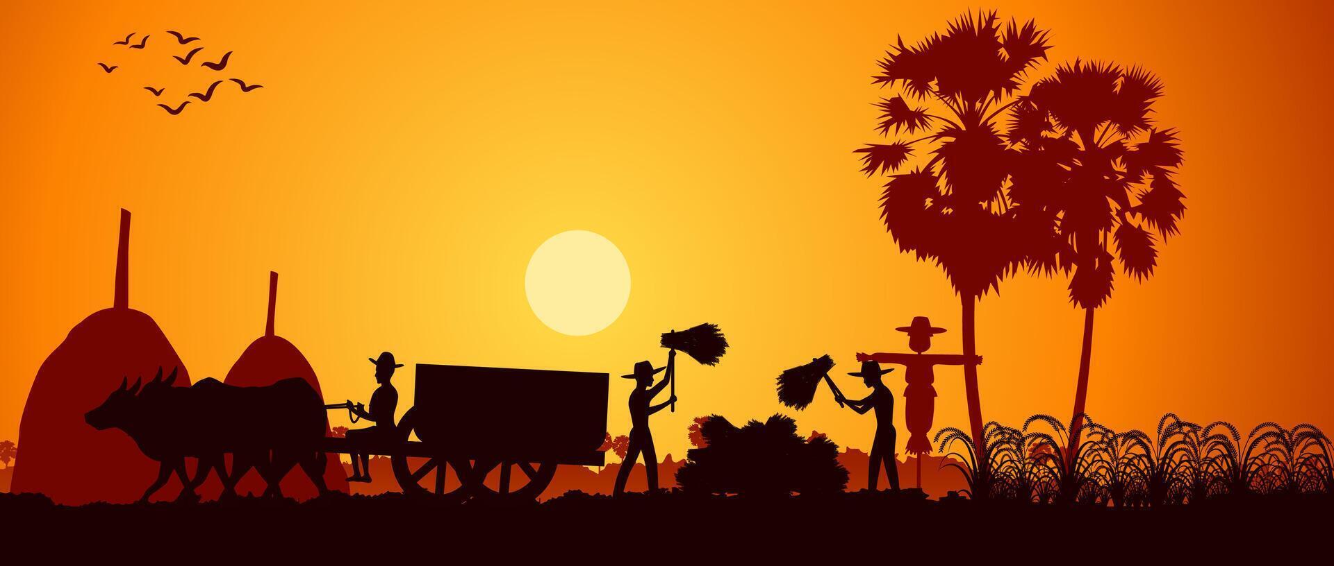 country life of Asia man harvest rice and another move rice by cart on sunrise time,silhouette style vector