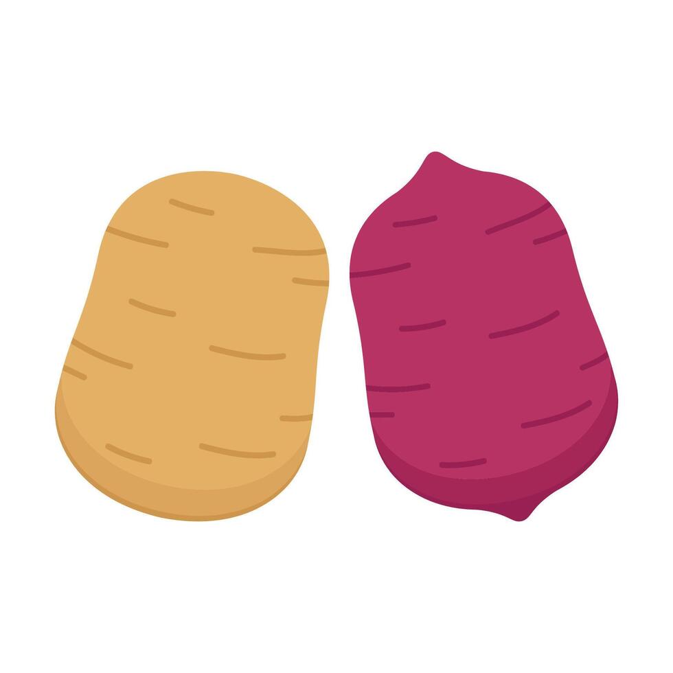 Sweet Potato character design. Sweet Potato . vector