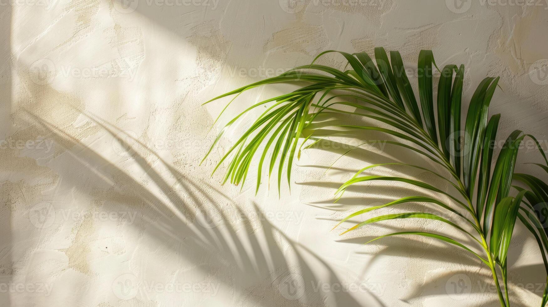 Palm branch adorns a spacious church corner on Palm Sunday, reflecting the sacred tradition photo