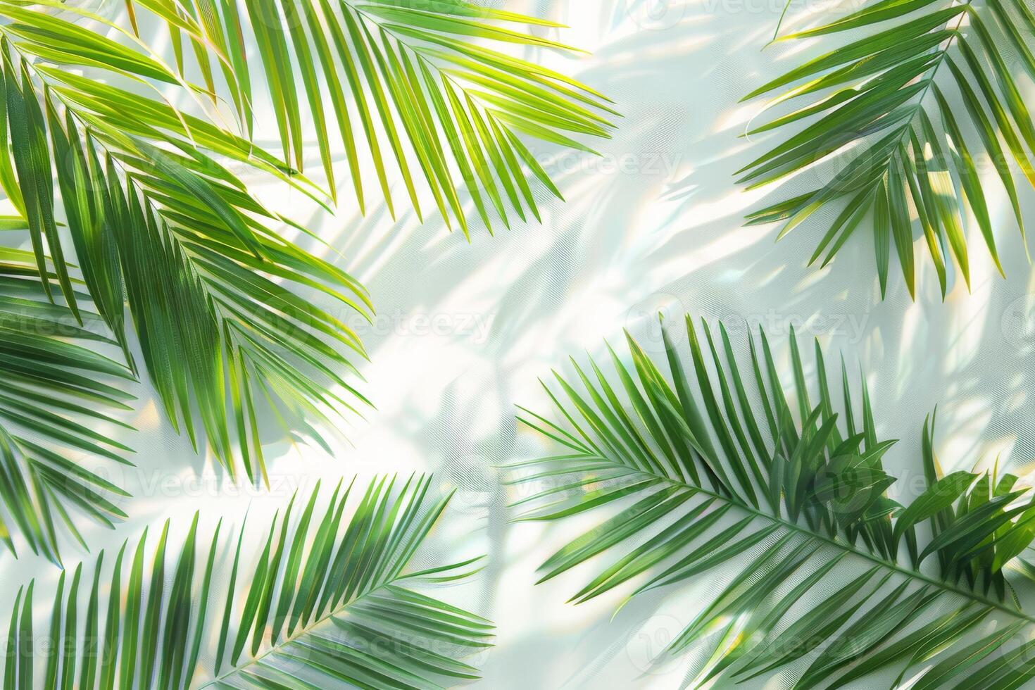 Lush palm fronds swaying gently on a transparent white backdrop, creating a tropical ambiance photo