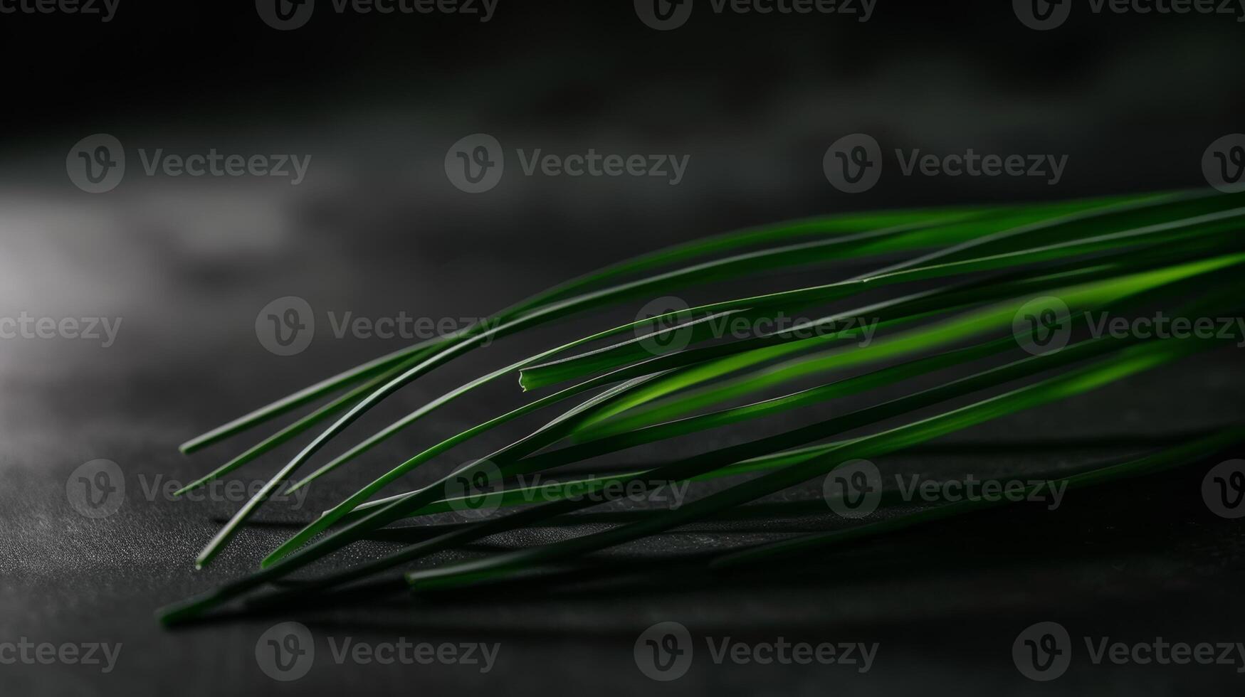 Minimalist shot of a spinning slice of chives photo