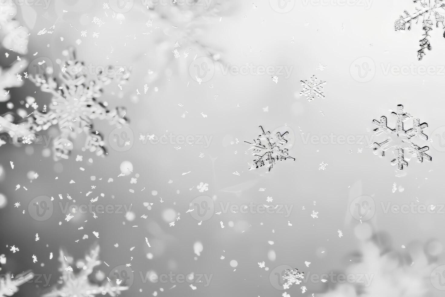 Delicate snowflakes falling against a soft transparent white backdrop, perfect for winter scenes photo