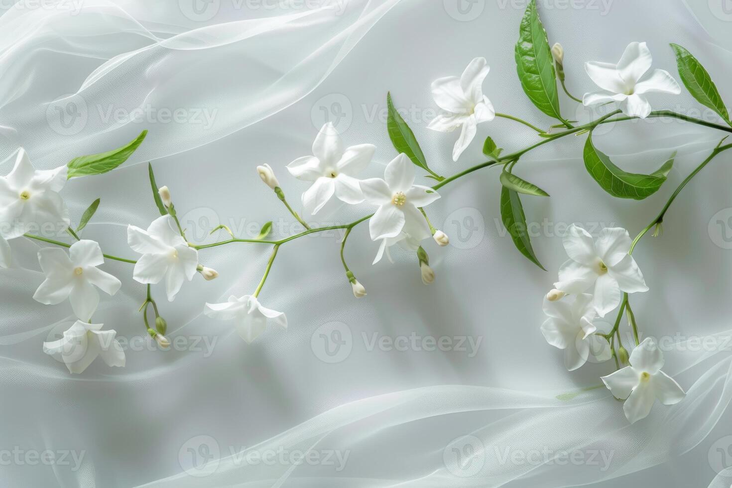 Whimsical jasmine flowers with elegant shapes on a transparent white surface, symbolizing purity and beauty photo
