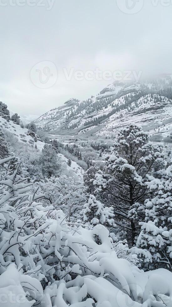 Rocky slopes covered in a blanket of winter snow photo