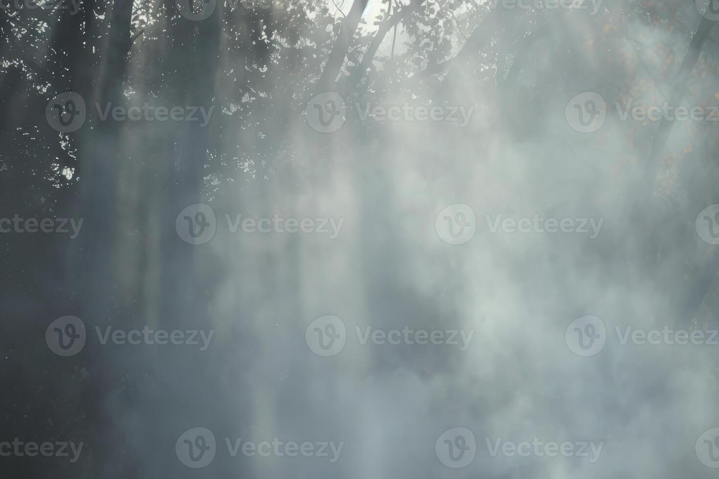 Wisps of fog in a misty forest photo