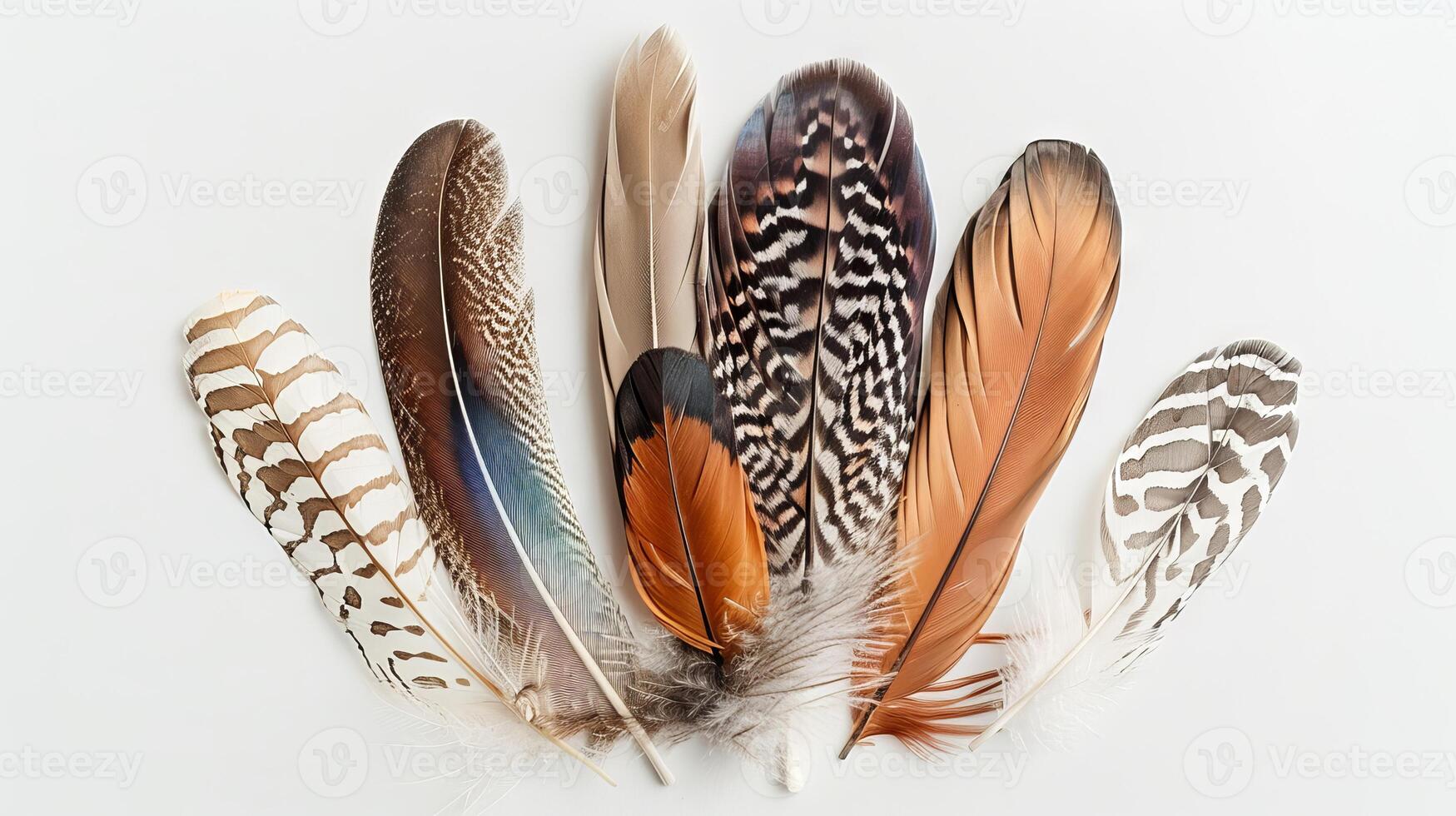 Boho chic feathers exuding charm and elegance against a pure white backdrop photo