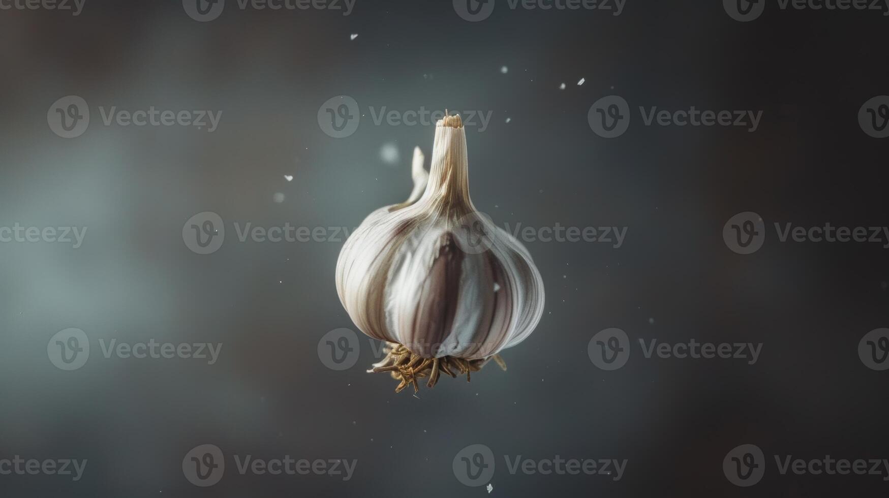 Clean and basic shot of a spinning piece of garlic photo