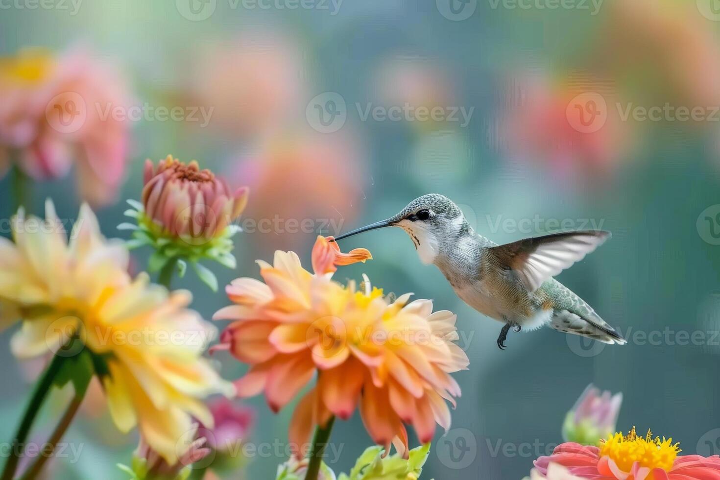 Close up of a hummingbird sipping nectar from a flower, showcasing the intricate relationships in nature photo