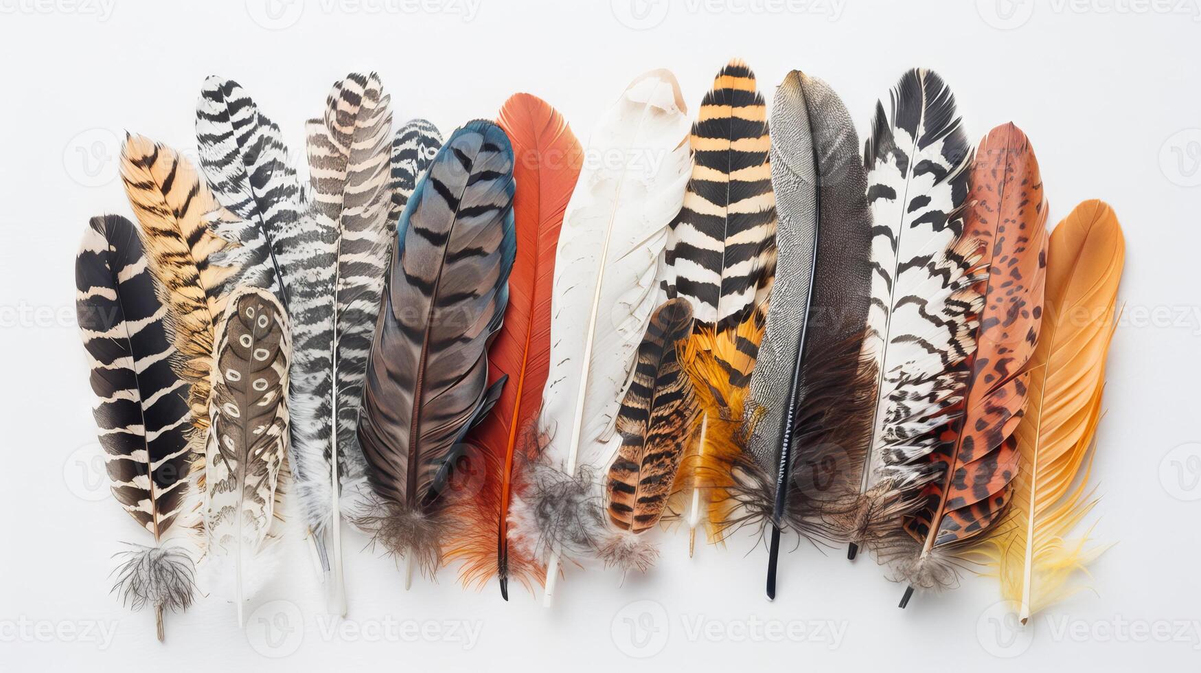 Feathers with a bohemian twist arranged in a captivating display on a pure white backdrop photo